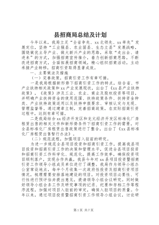 县招商局总结及计划