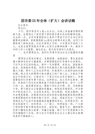 团市委XX年全体（扩大）会讲话稿