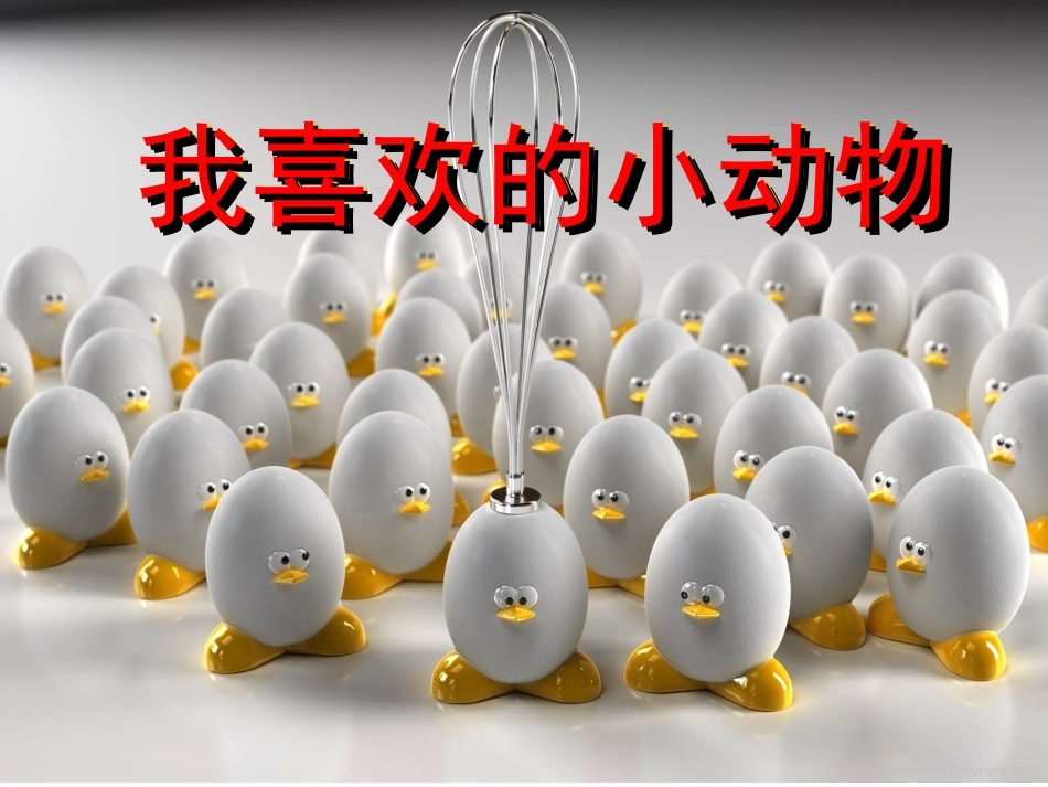 我喜欢的小动物_第1页