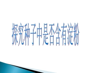 探究种子成分