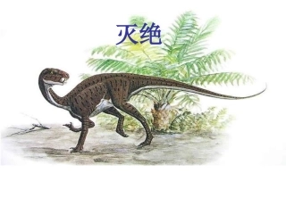 恐龙的灭绝()
