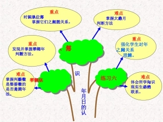 《年月日的认识》知识树