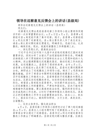 领导在巡察意见反馈会上的讲话(县级局)