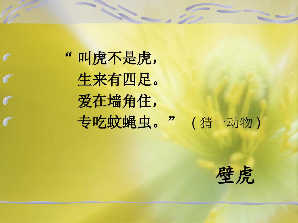 《小壁虎借尾巴》课件_第2页