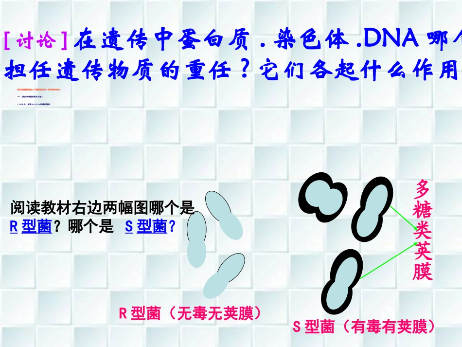 在探索DNA是主要遗传物质_第2页