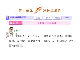《三维设计》2014新课标高考物理一轮总复习课件__第十三章_动量第2单元_波粒二象性(49张)