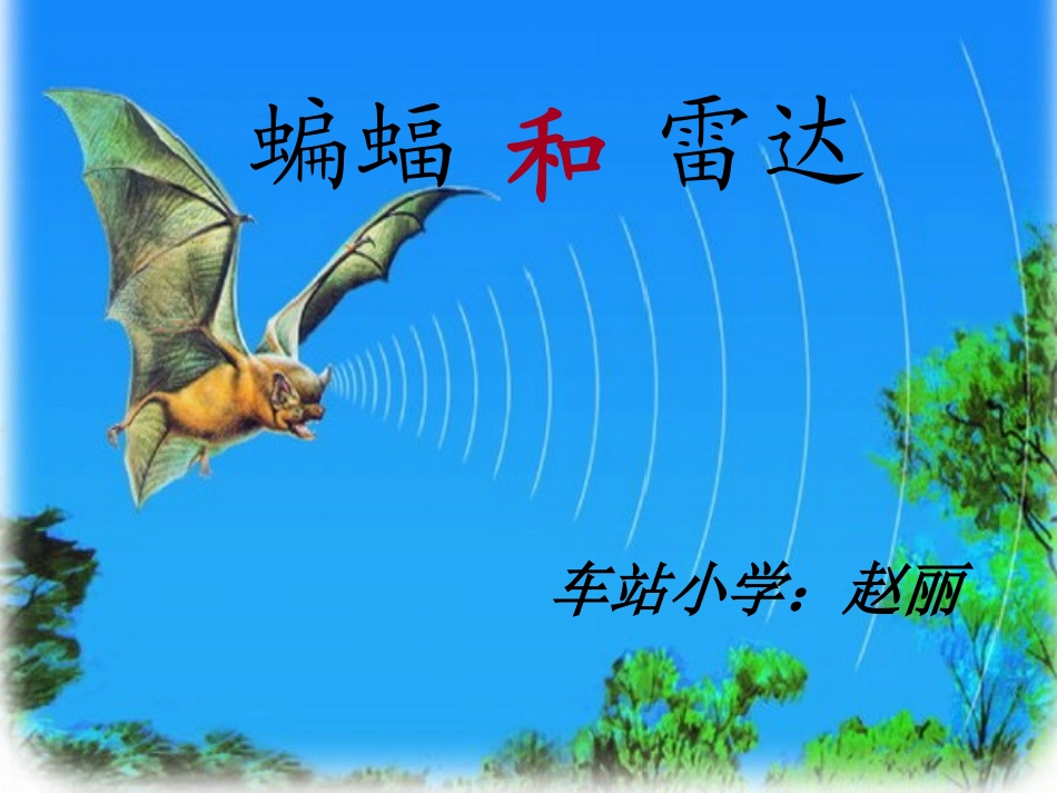 蝙蝠和雷达(赵丽)_第1页
