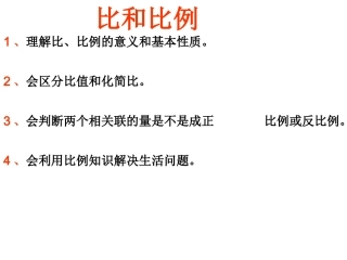 人教版六年级下册《_比和比例》总复习