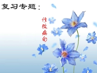 中考复习专题：修改病句课件