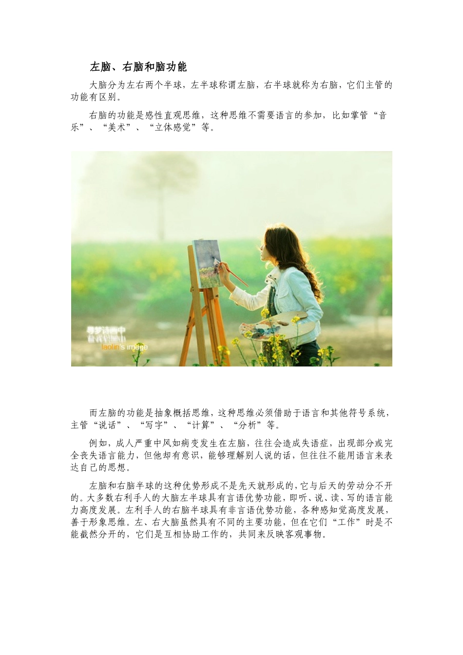 左脑、右脑和脑功能_第1页
