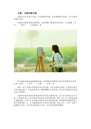 左脑、右脑和脑功能