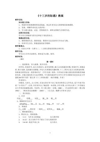 十三岁的际遇