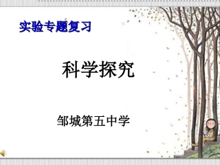 实验探究专题