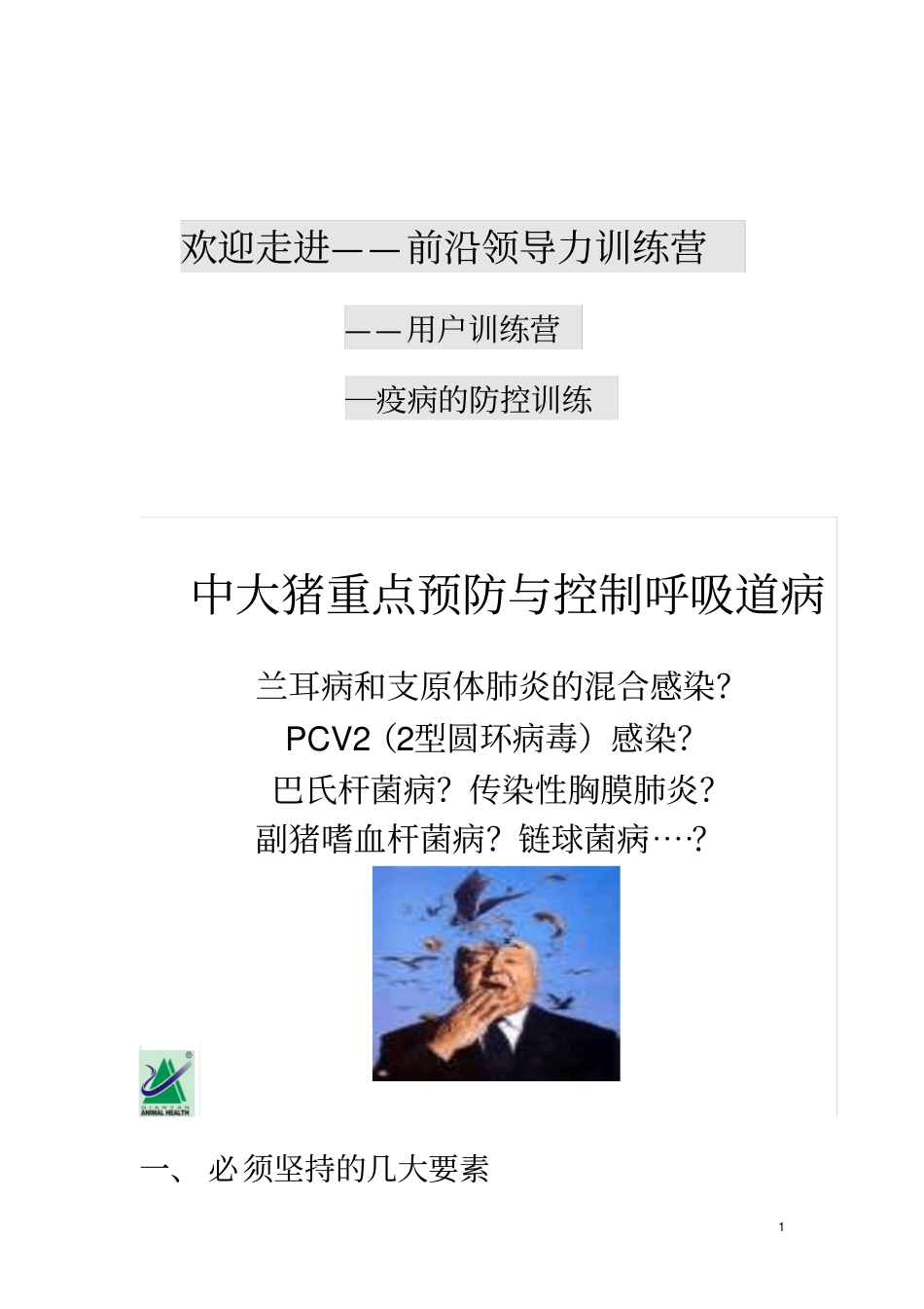 中大猪重点预防及呼吸道疾病的治疗_第1页