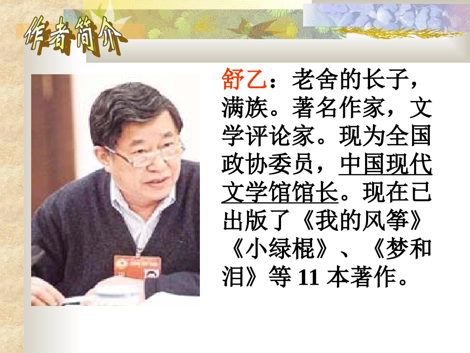 都市精灵课件_第2页