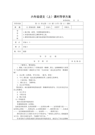 青海高原一株柳
