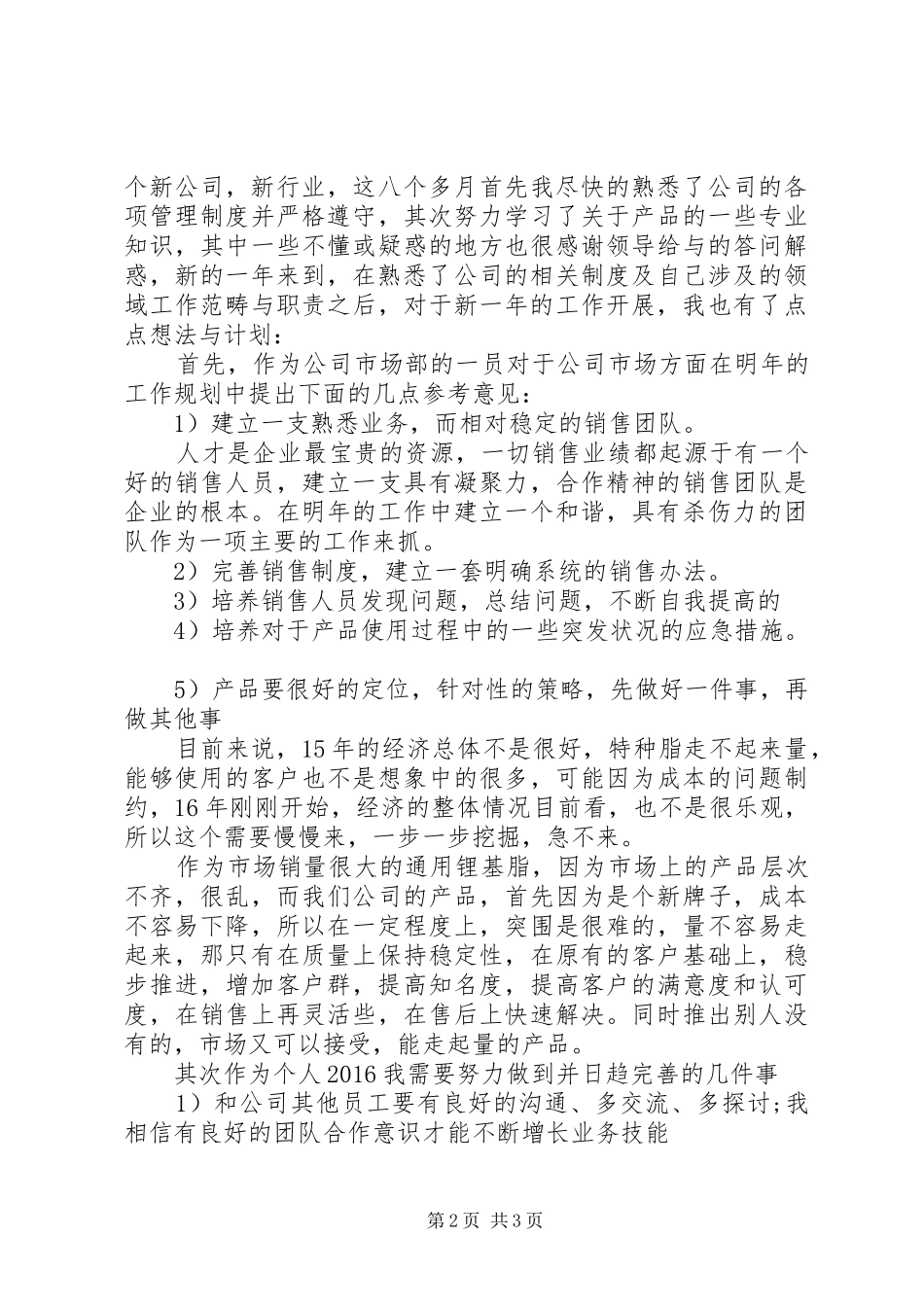 个人年度计划范文_第2页