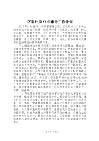 区审计局XX年审计工作计划