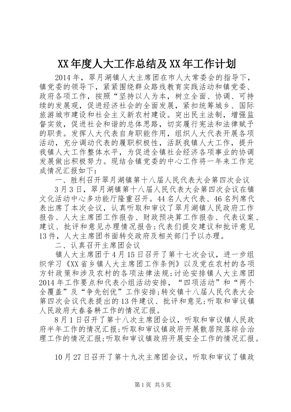 XX年度人大工作总结及XX年工作计划_第1页