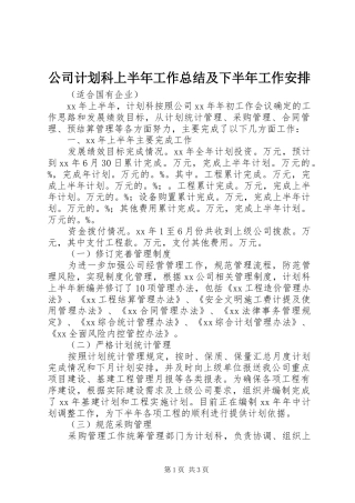 公司计划科上半年工作总结及下半年工作安排