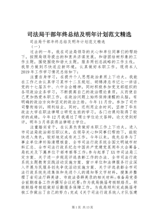 司法局干部年终总结及明年计划范文精选