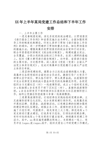 XX年上半年某局党建工作总结和下半年工作安排