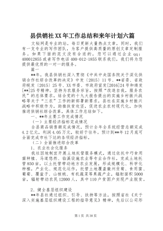 县供销社XX年工作总结和来年计划六篇