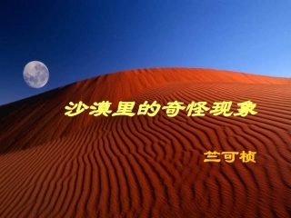 沙漠里的奇怪现象 (3)