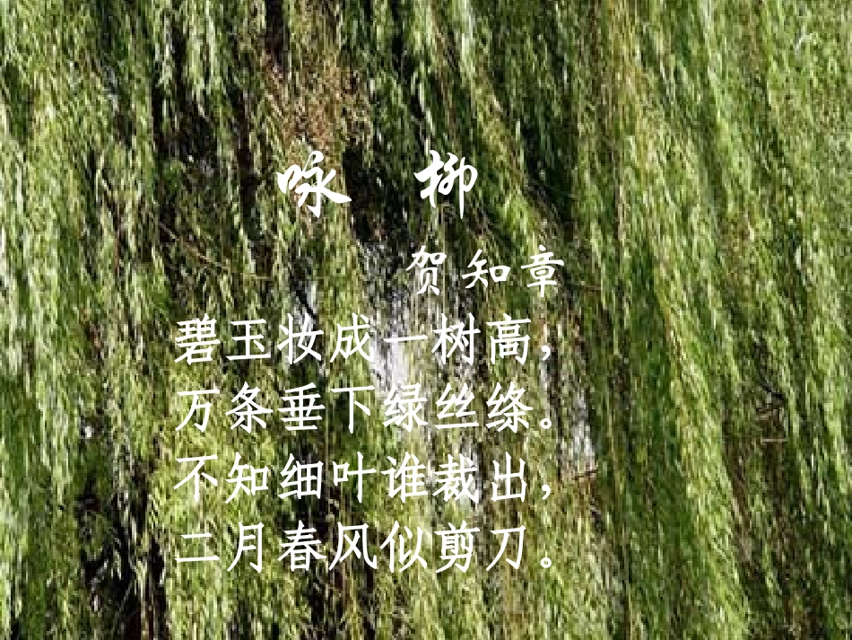 (苏教版)《柳叶儿》_第1页