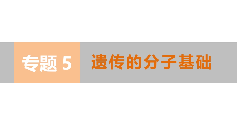 专题复习之专题五遗传的分子基础_第1页
