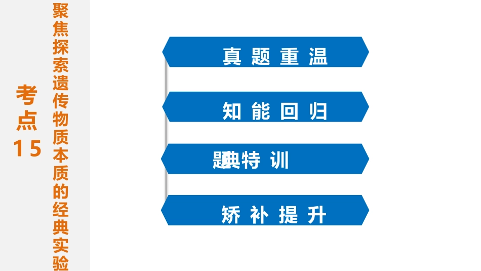专题复习之专题五遗传的分子基础_第3页