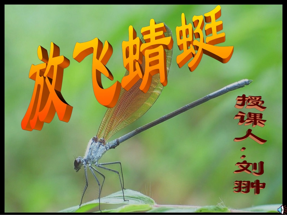 放飞蜻蜓 (2)_第1页