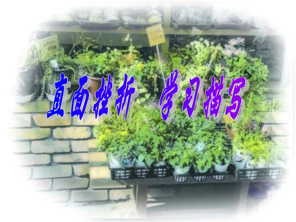 学习描写直面挫折_第1页