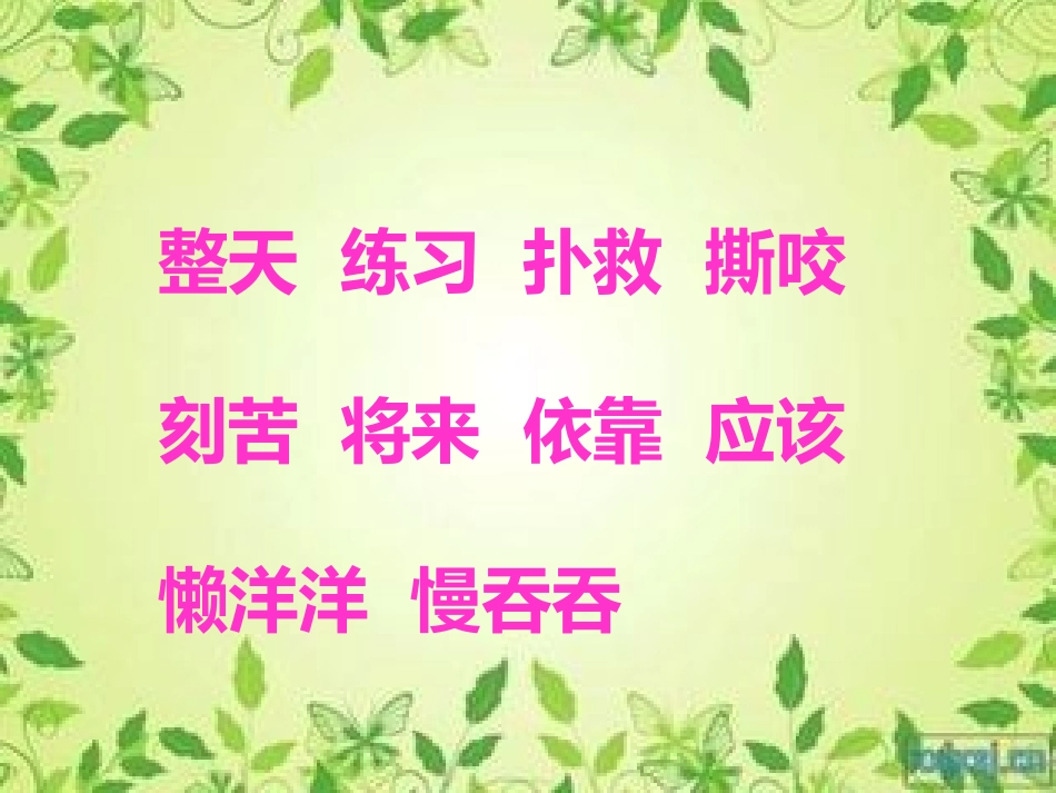 (中小学精品两只小狮子课件_第3页