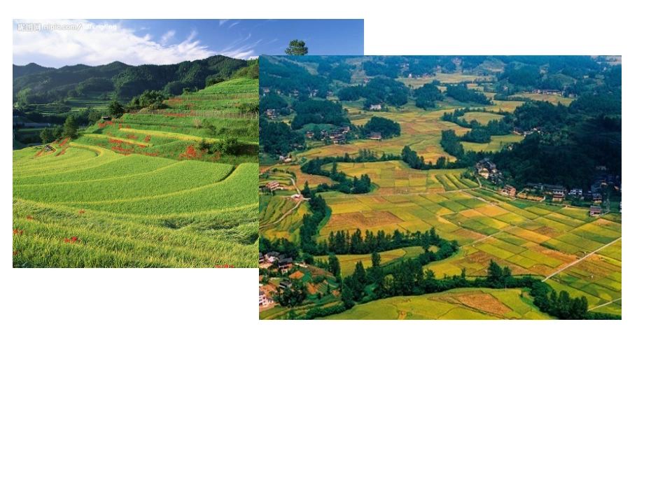 九年级下册Unit3Reading_第2页