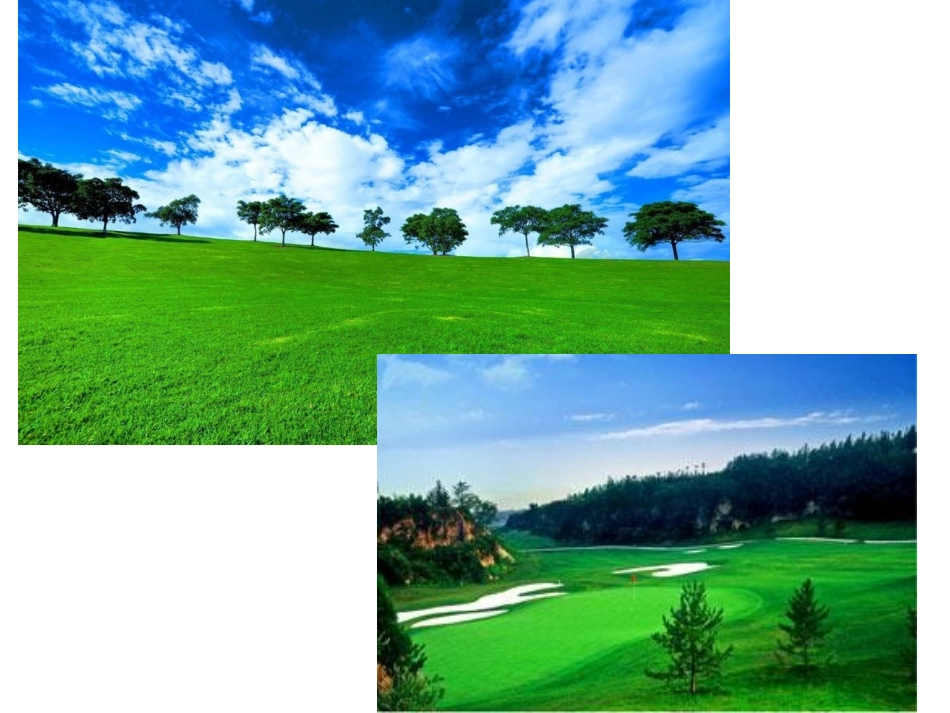 九年级下册Unit3Reading_第3页