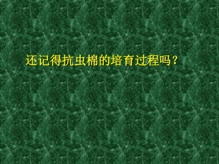 从杂交育种到基因工程