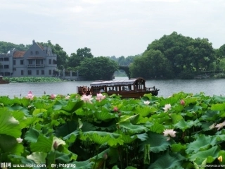 晓出净慈寺送林子方
