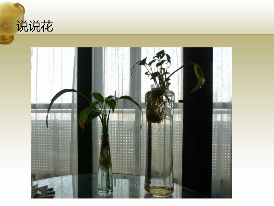 《指南》科学领域解读201312_第2页