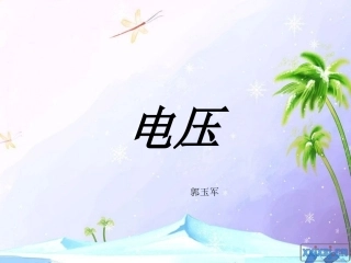 《电压电阻》PPT课件