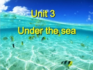 2015选修7_unit3_单词