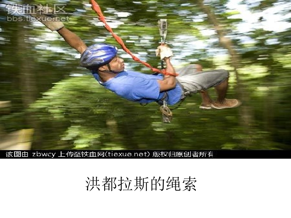 世界各地的交通工具郑鹏鸣_第3页