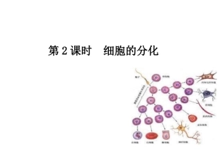 《细胞的分化》导学案