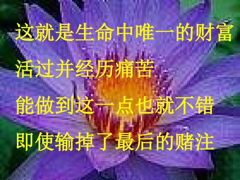 热爱生命 (3)_第2页