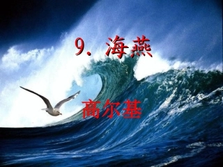 《海燕》教学课件