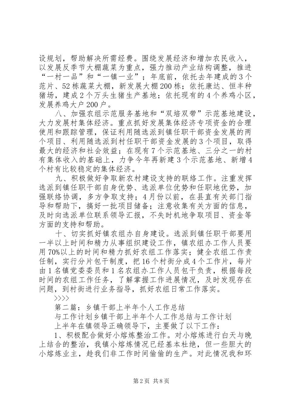 乡镇干部个人工作计划_第2页