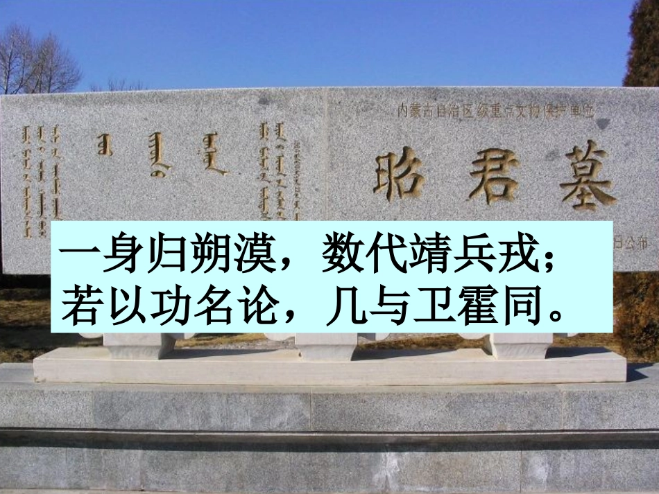 《咏怀古迹(其三)》课件标准_第3页