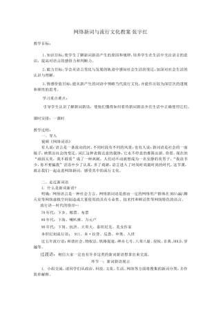 宁乡职专-网络新词与流行文化教案-张宇红