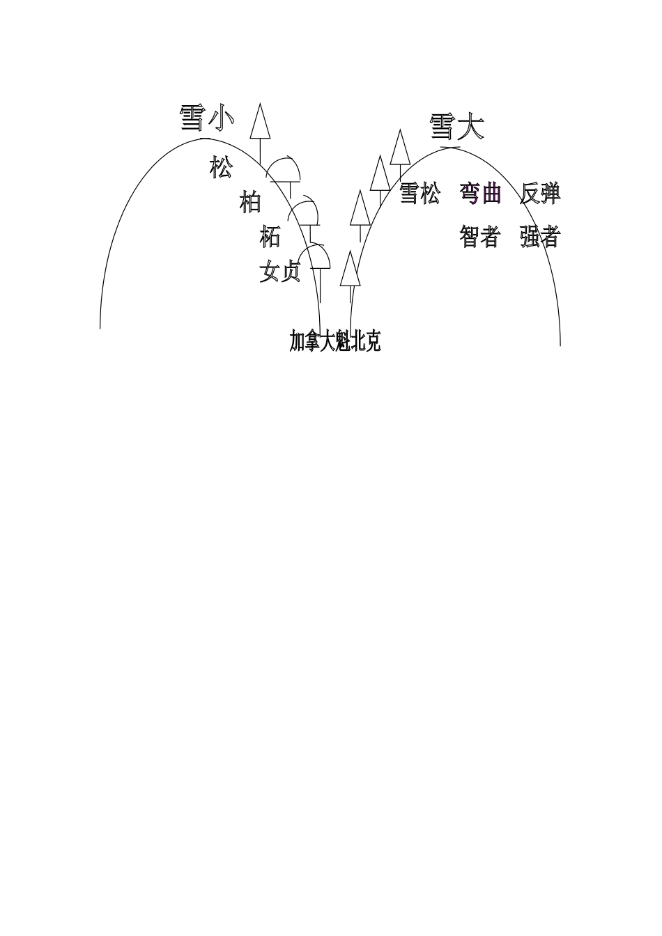 山谷中的谜底（第一课时_第3页
