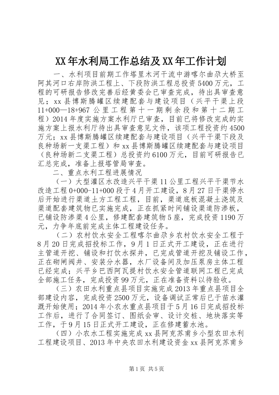XX年水利局工作总结及XX年工作计划_第1页